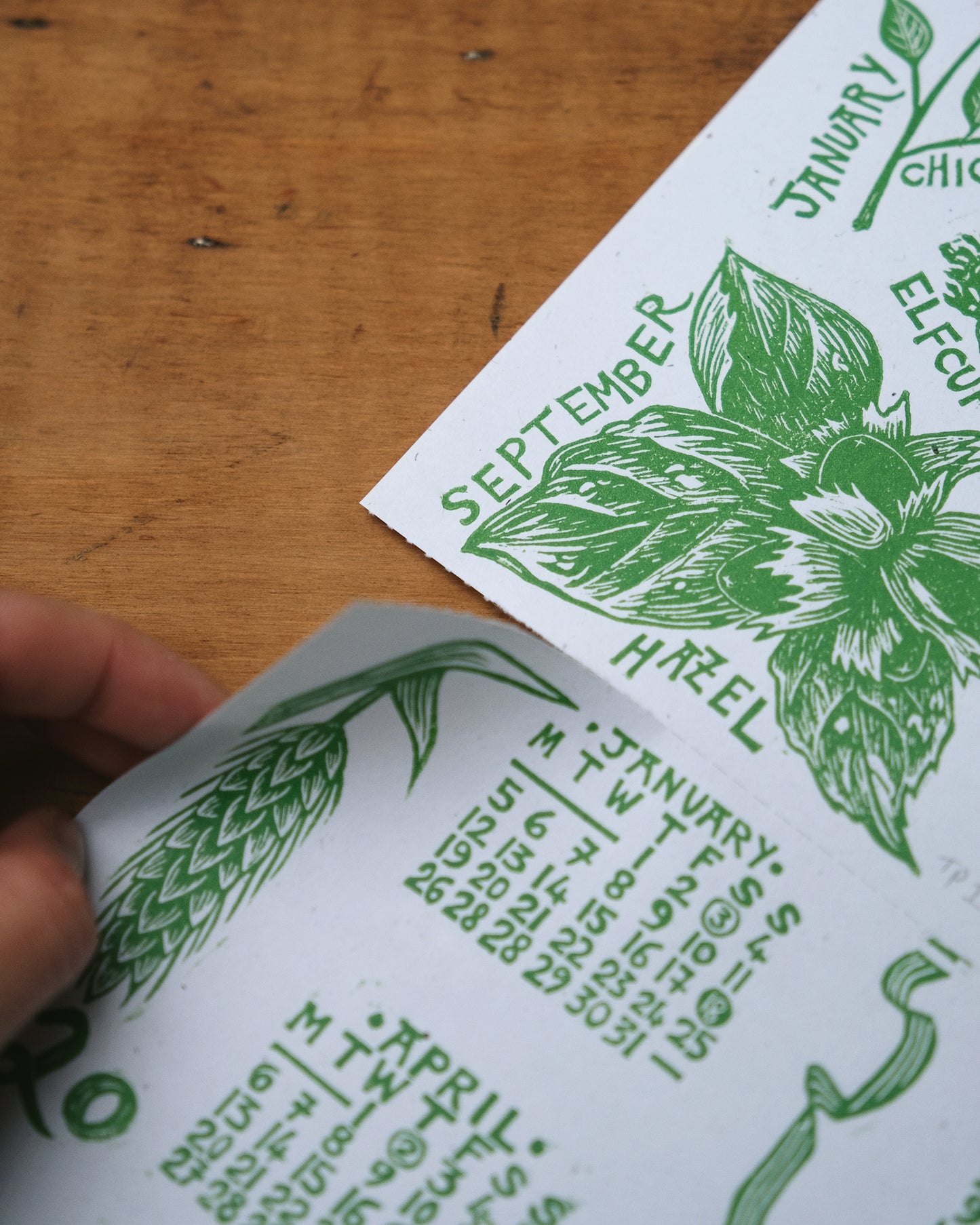 The Foraging Year - 2026 A3 Linocut Calendar and Poster - Limited Edition