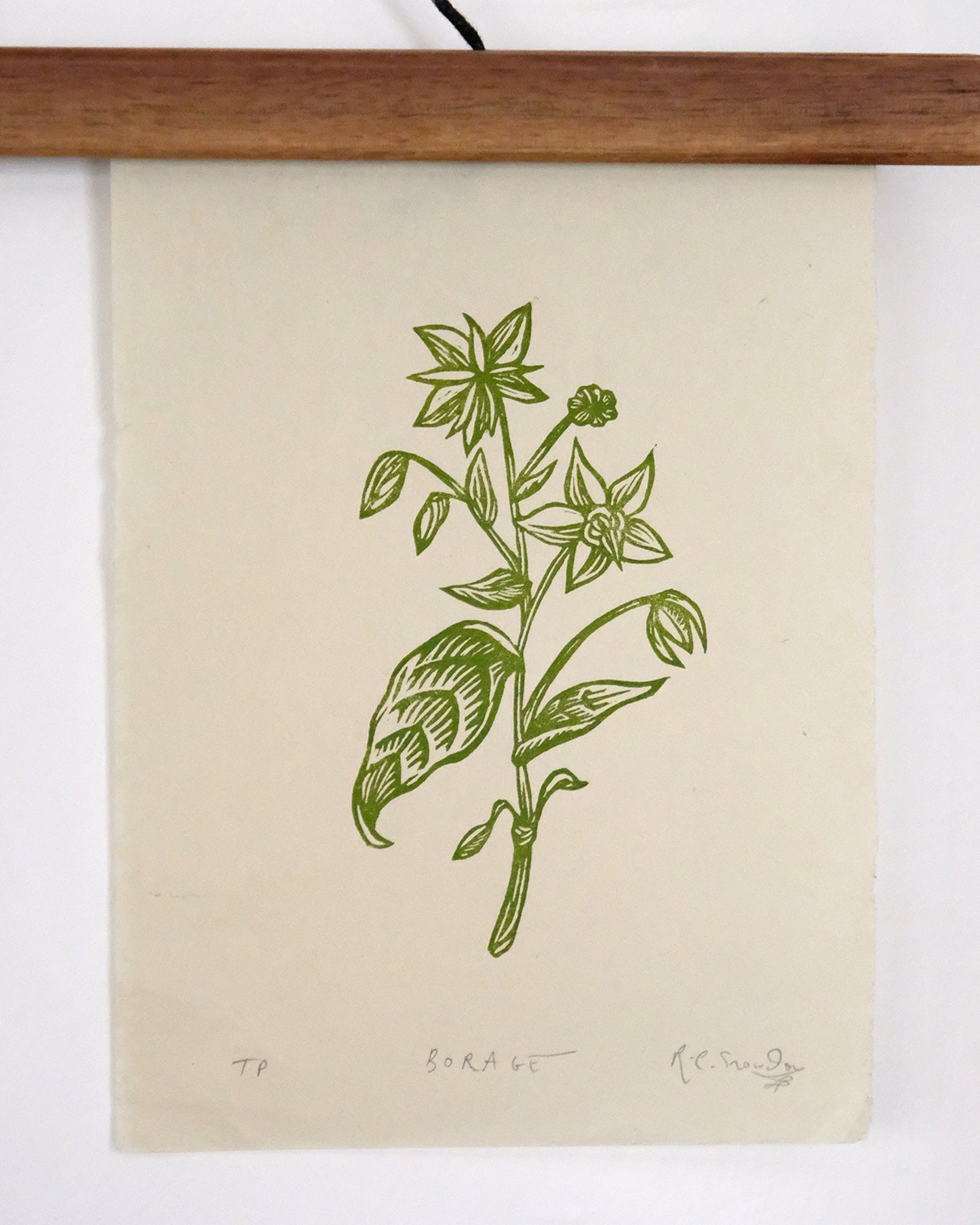 SECONDS - Borage - Lino Print