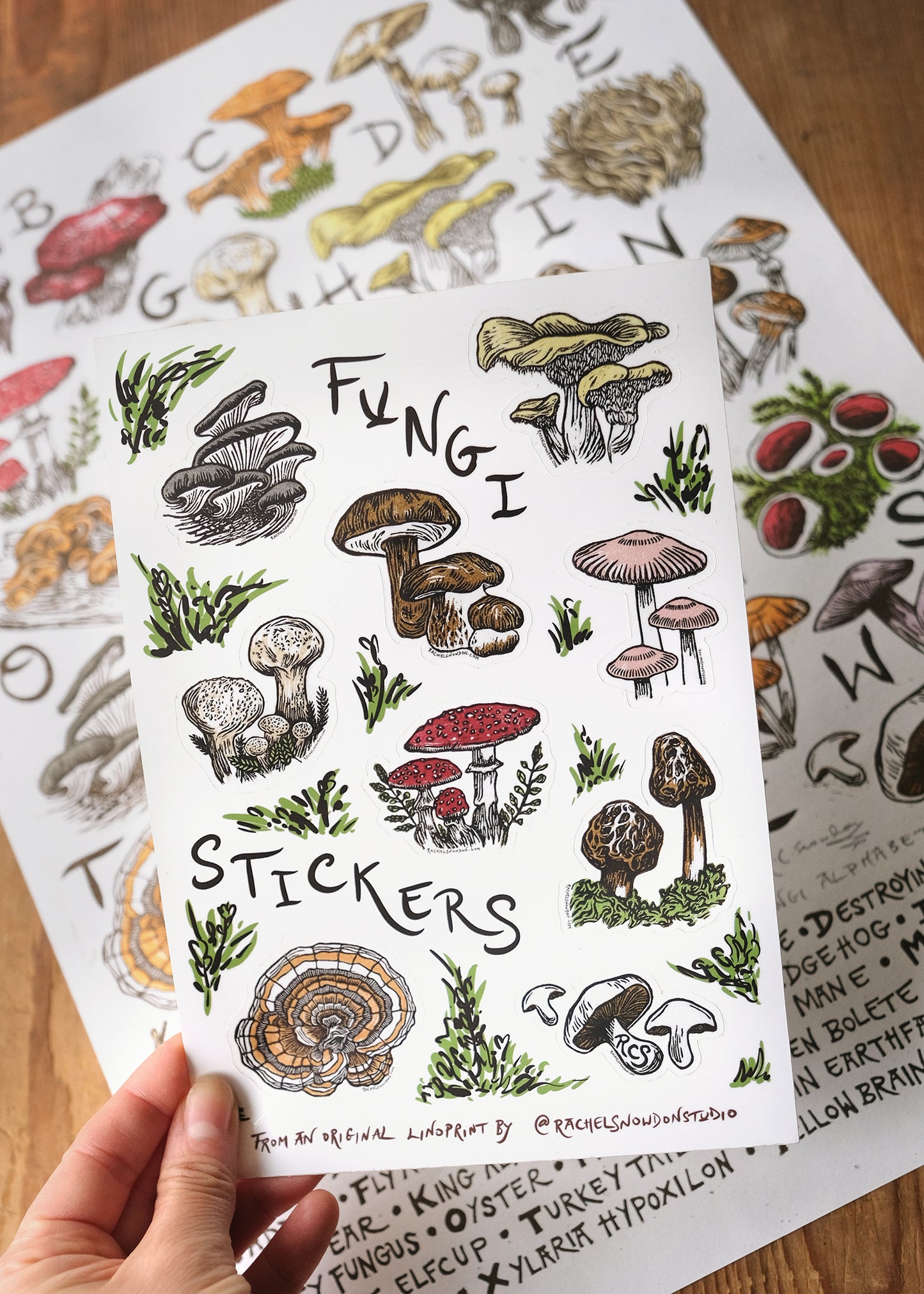 Fungi and Mushroom Sticker Set