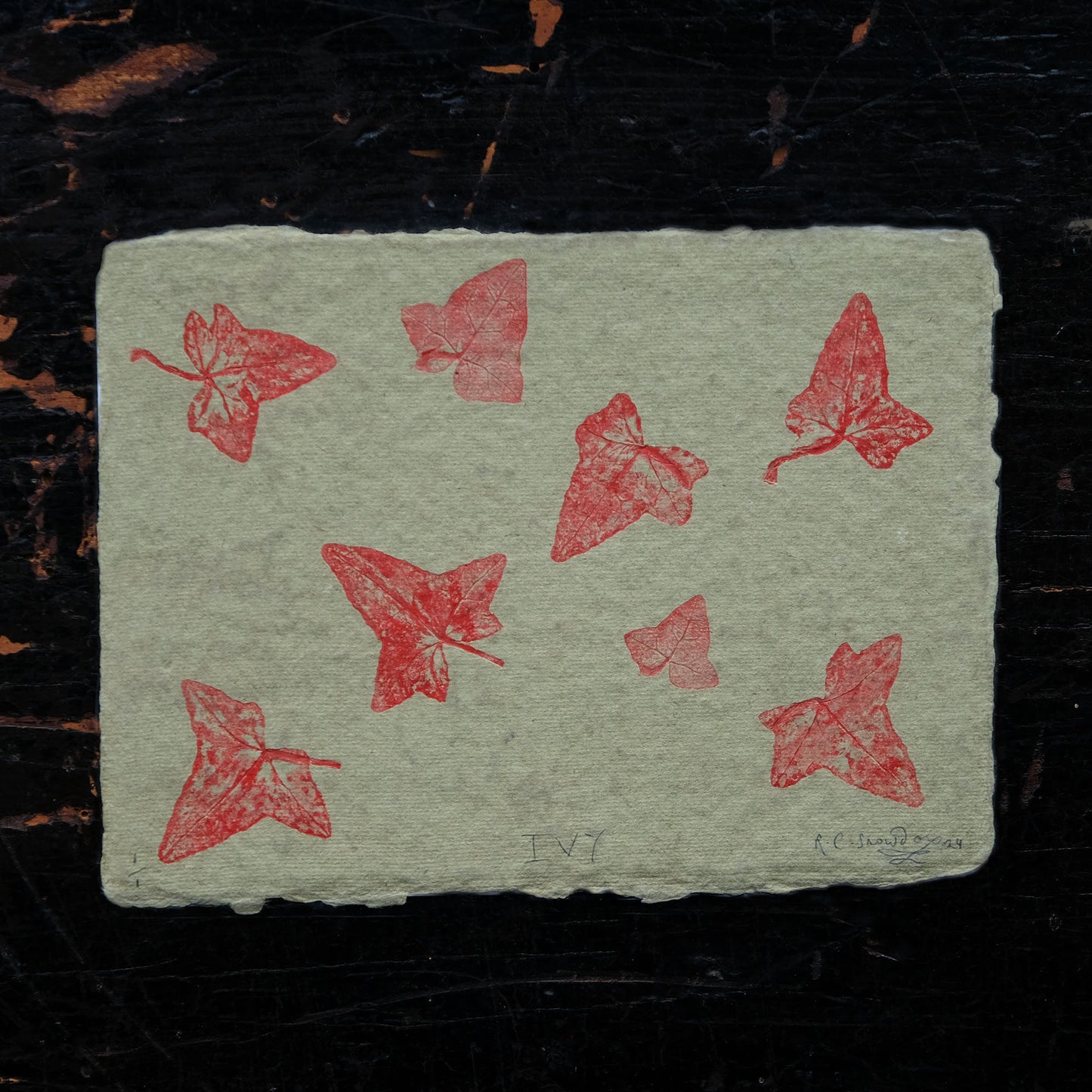 Ivy, Red on Green - Botanical Monoprint