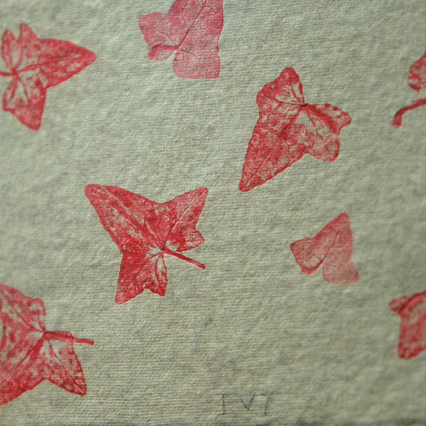 Ivy, Red on Green - Botanical Monoprint
