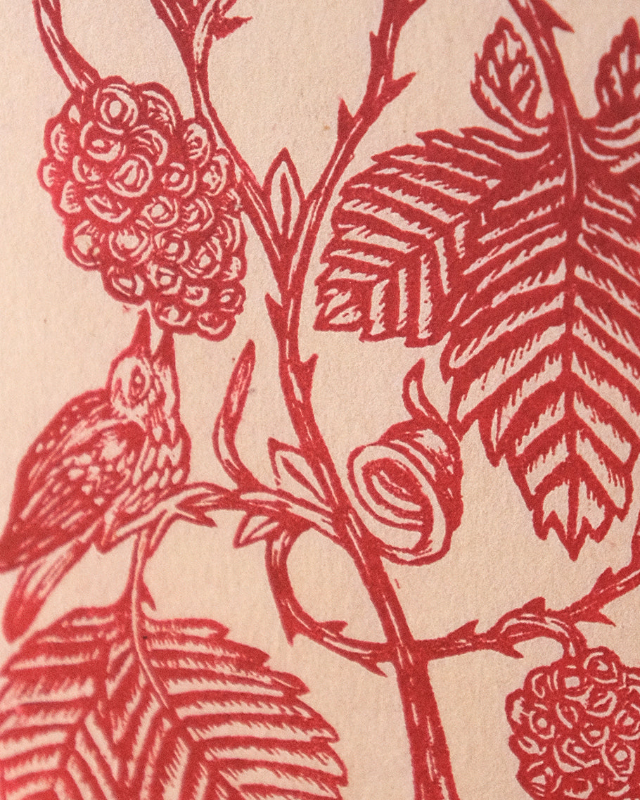 Blackberry Tangle Greetings Card