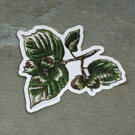 Cob Nuts - Single Hazelnut Sticker