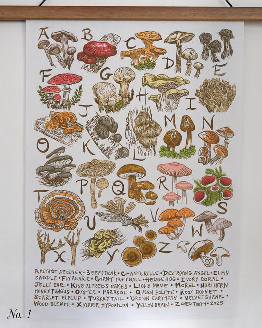SECONDS - Fungi Alphabet - Full Colour or Chestnut Brown