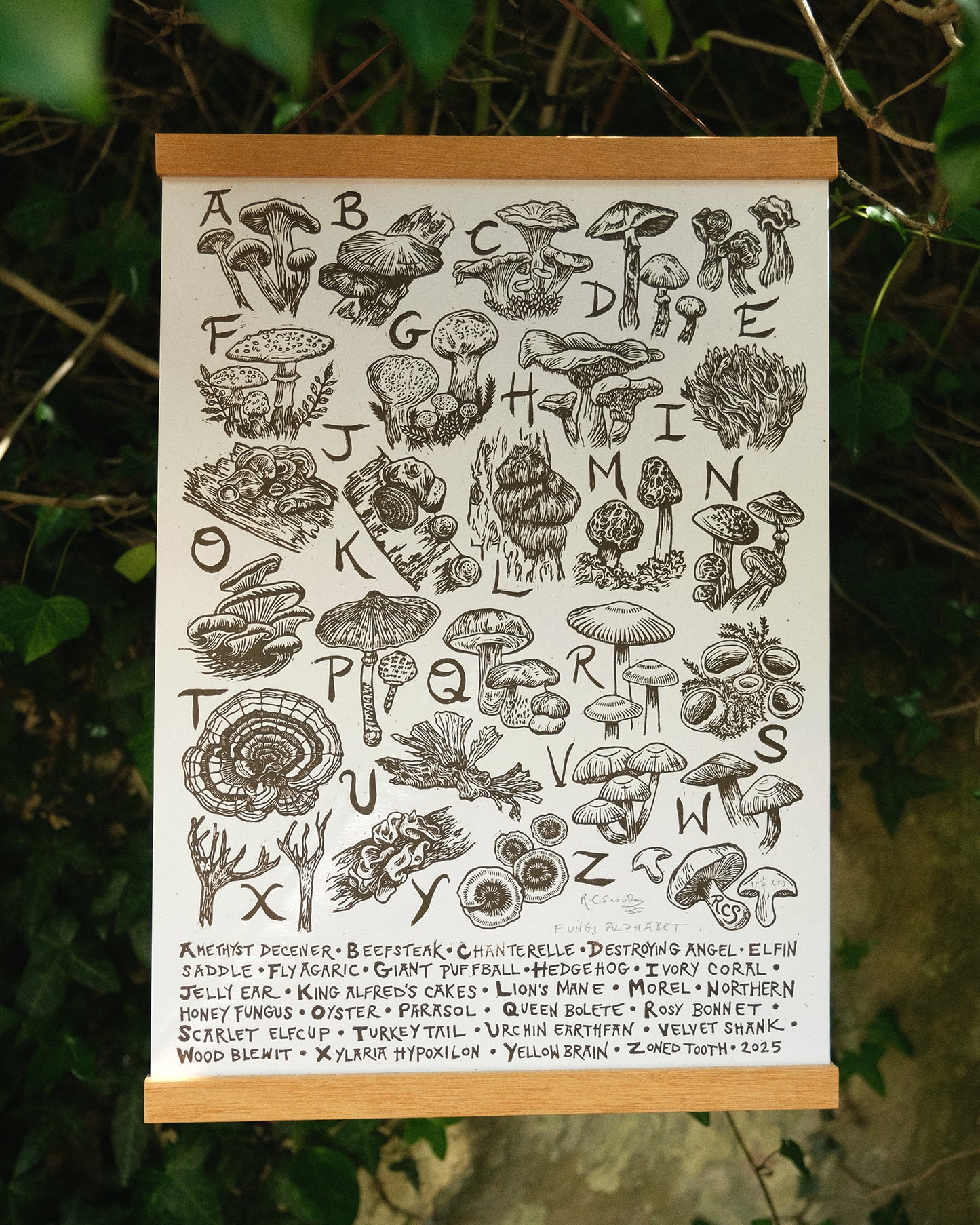 Fungi Alphabet - Full Colour or Chestnut Brown