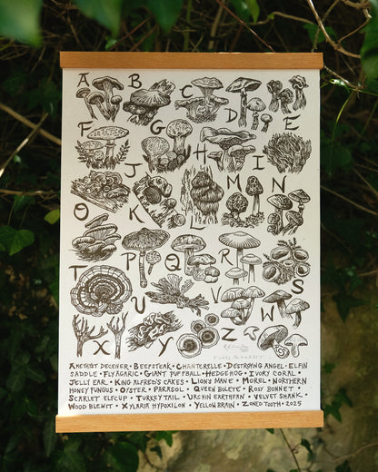 Fungi Alphabet - Full Colour or Chestnut Brown