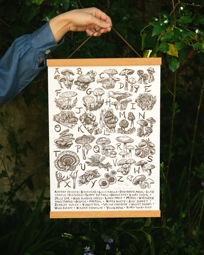 Fungi Alphabet - Full Colour or Chestnut Brown