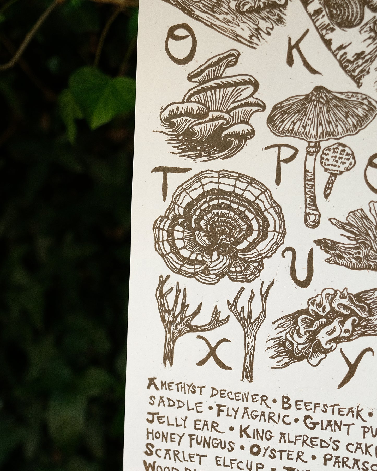 Fungi Alphabet - Full Colour or Chestnut Brown