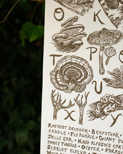 Fungi Alphabet - Full Colour or Chestnut Brown