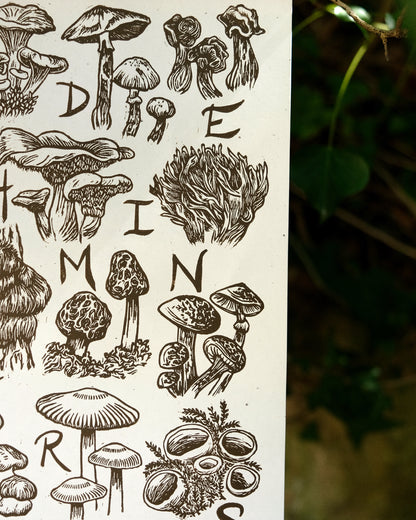 Fungi Alphabet - Full Colour or Chestnut Brown