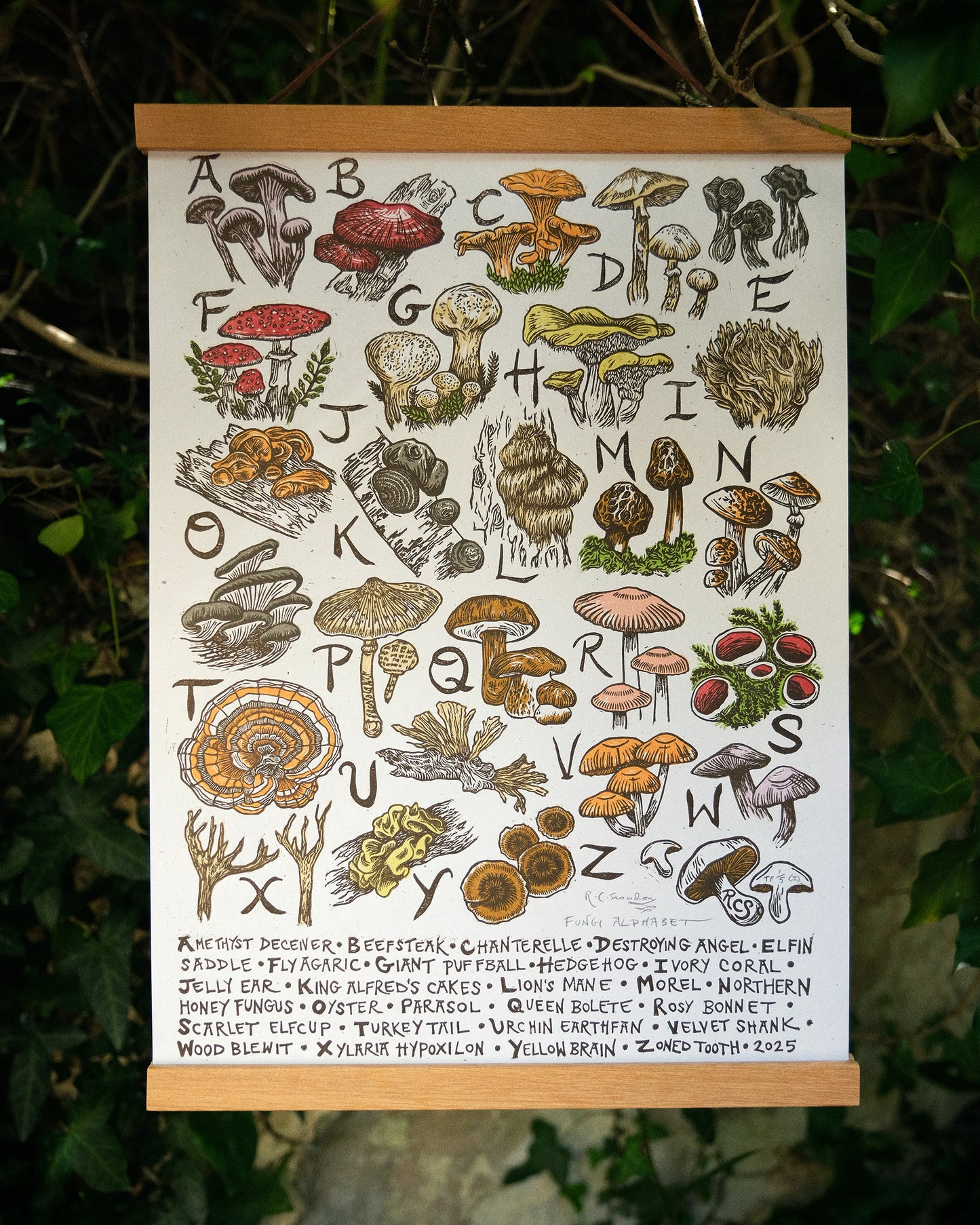 Fungi Alphabet - Full Colour or Chestnut Brown
