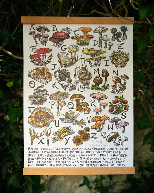 PRE-ORDER: Fungi Alphabet - Full Colour or Chestnut Brown