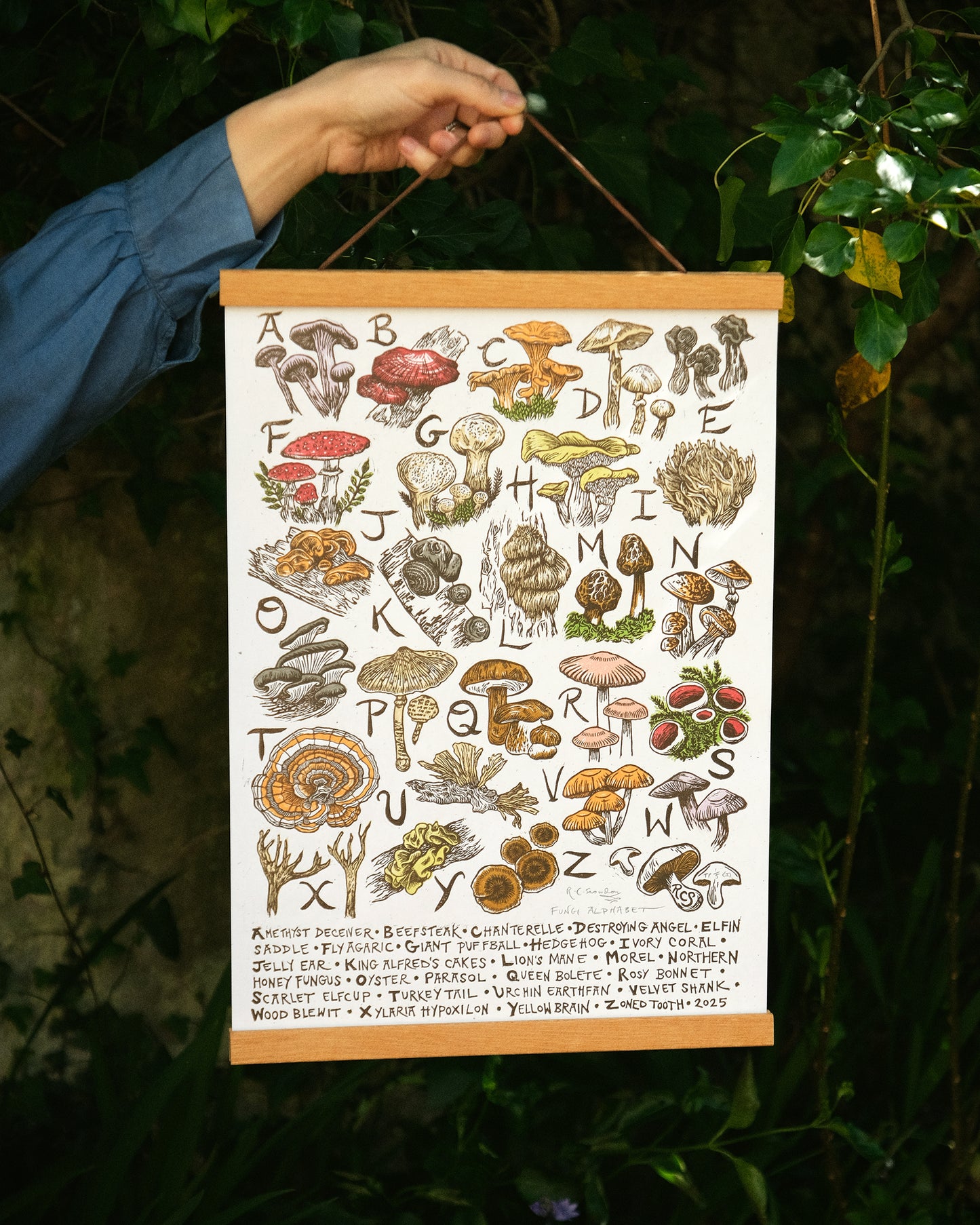 Fungi Alphabet - Full Colour or Chestnut Brown