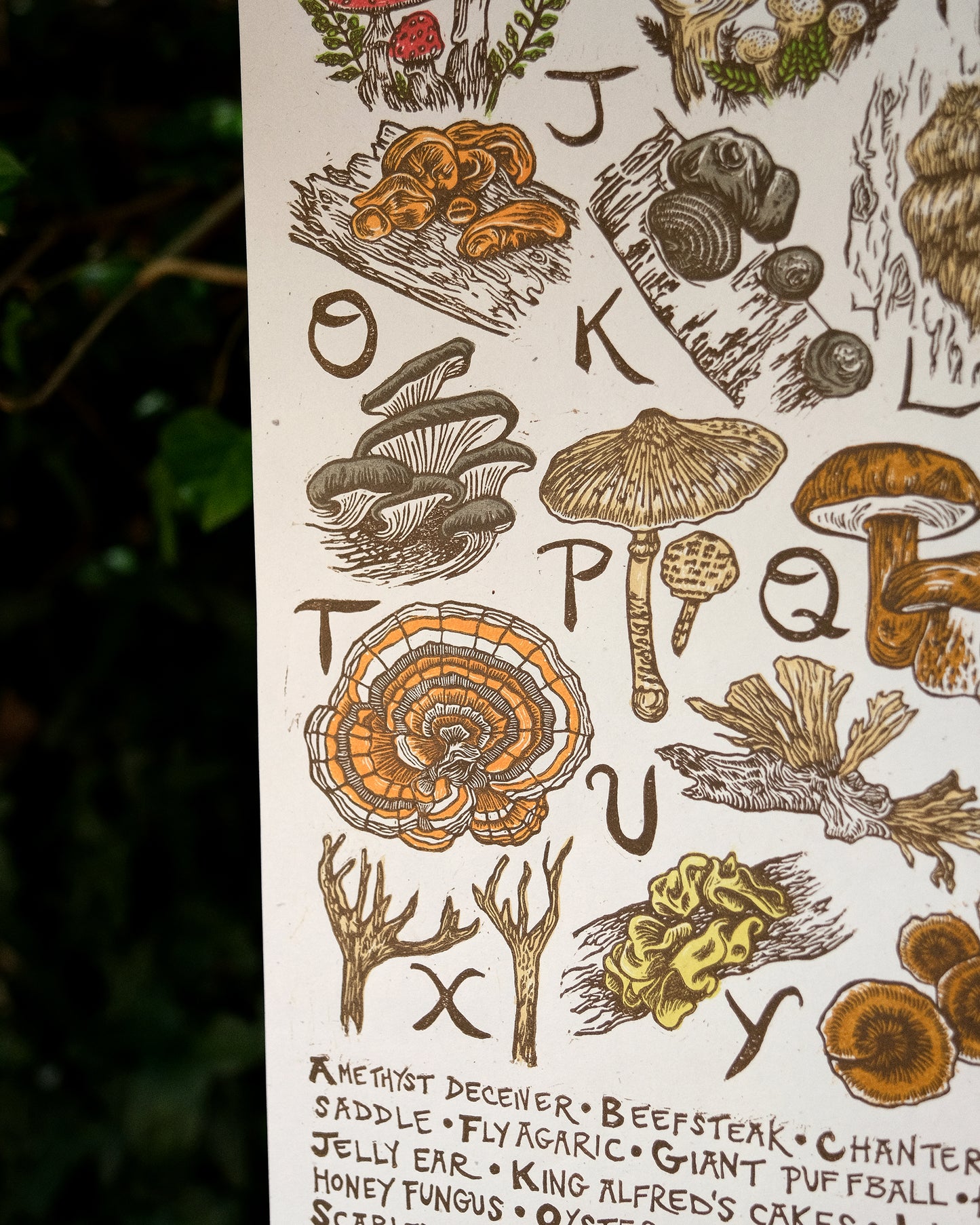 Fungi Alphabet - Full Colour or Chestnut Brown