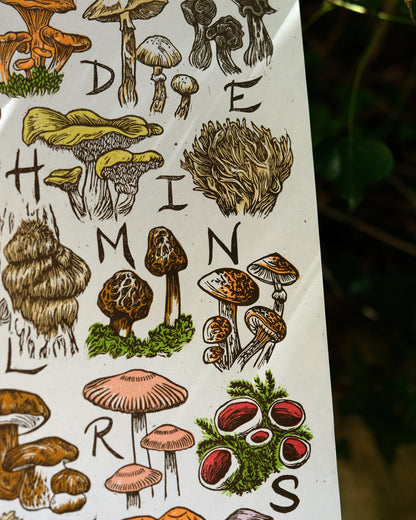Fungi Alphabet - Full Colour or Chestnut Brown