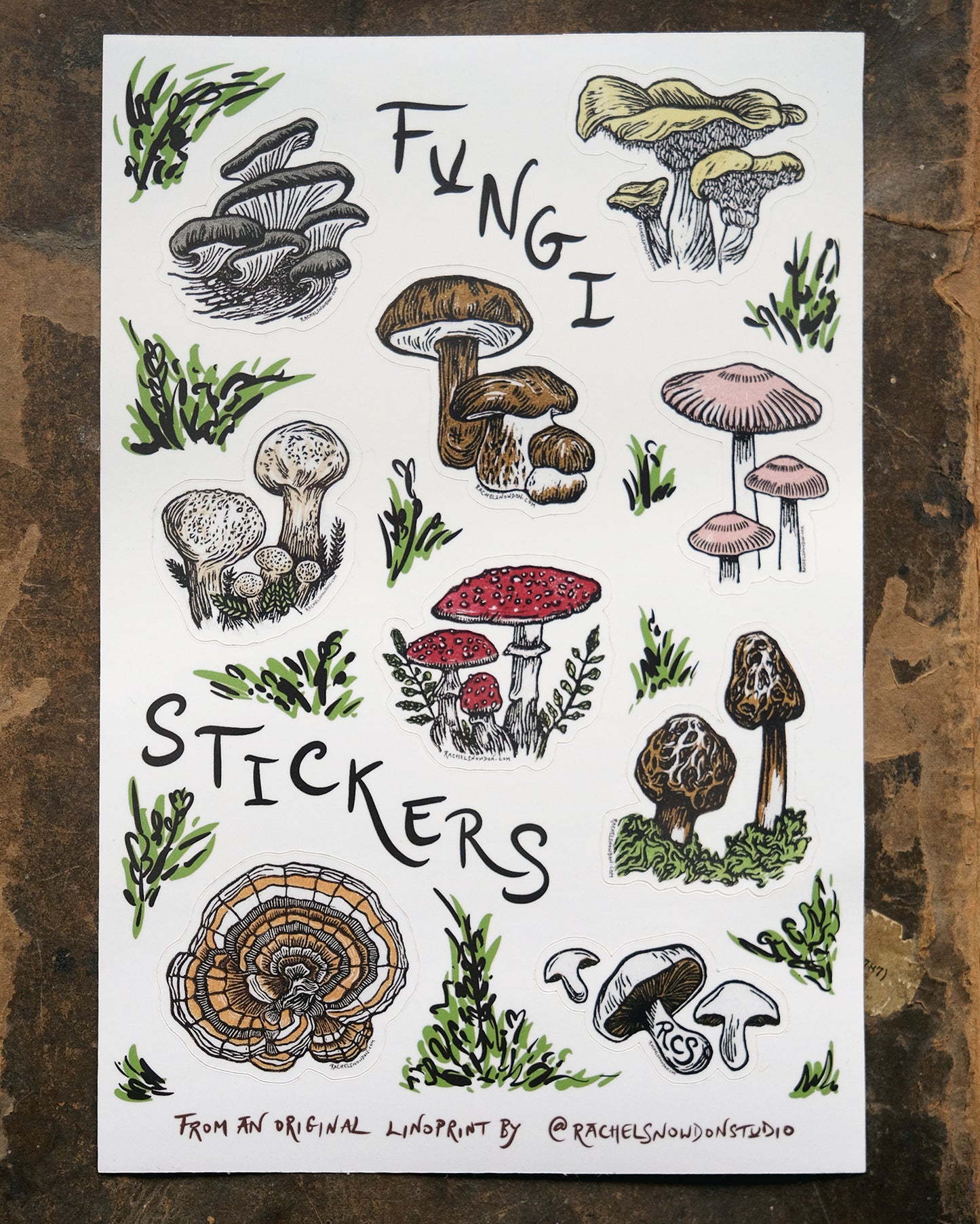 Fungi and Mushroom Sticker Set