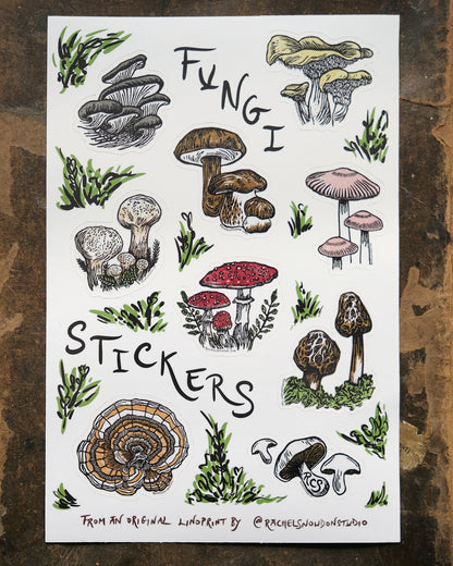 Fungi and Mushroom Sticker Set