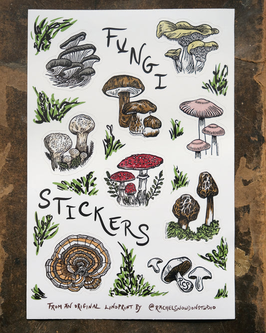 Fungi and Mushroom Sticker Set