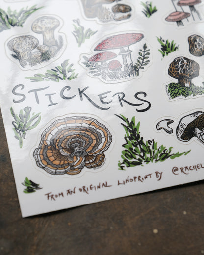Fungi and Mushroom Sticker Set
