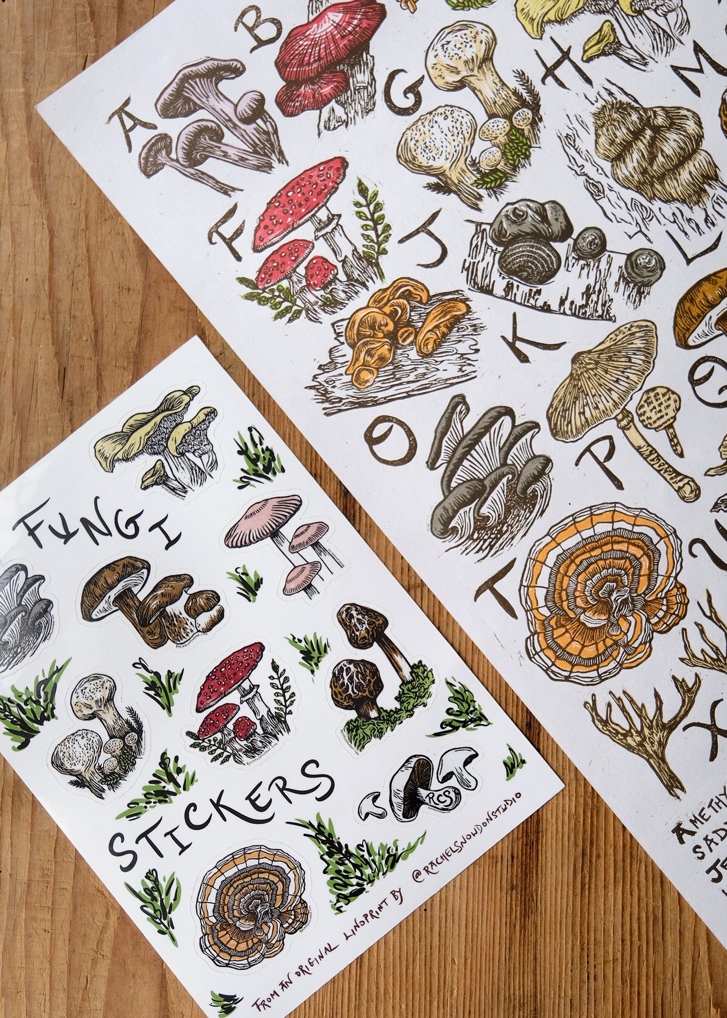 Fungi and Mushroom Sticker Set