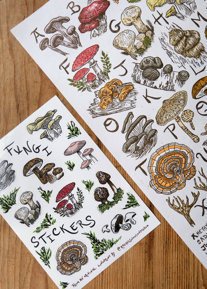 Fungi and Mushroom Sticker Set