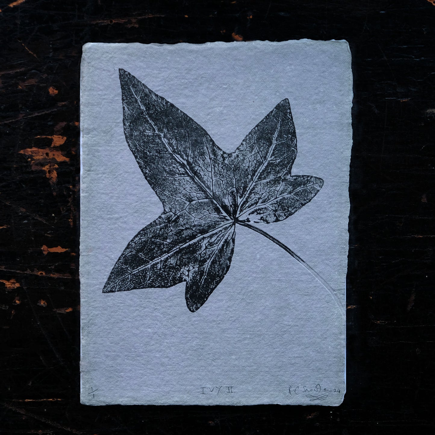 Ivy No.2 on Grey - Botanical Monoprint