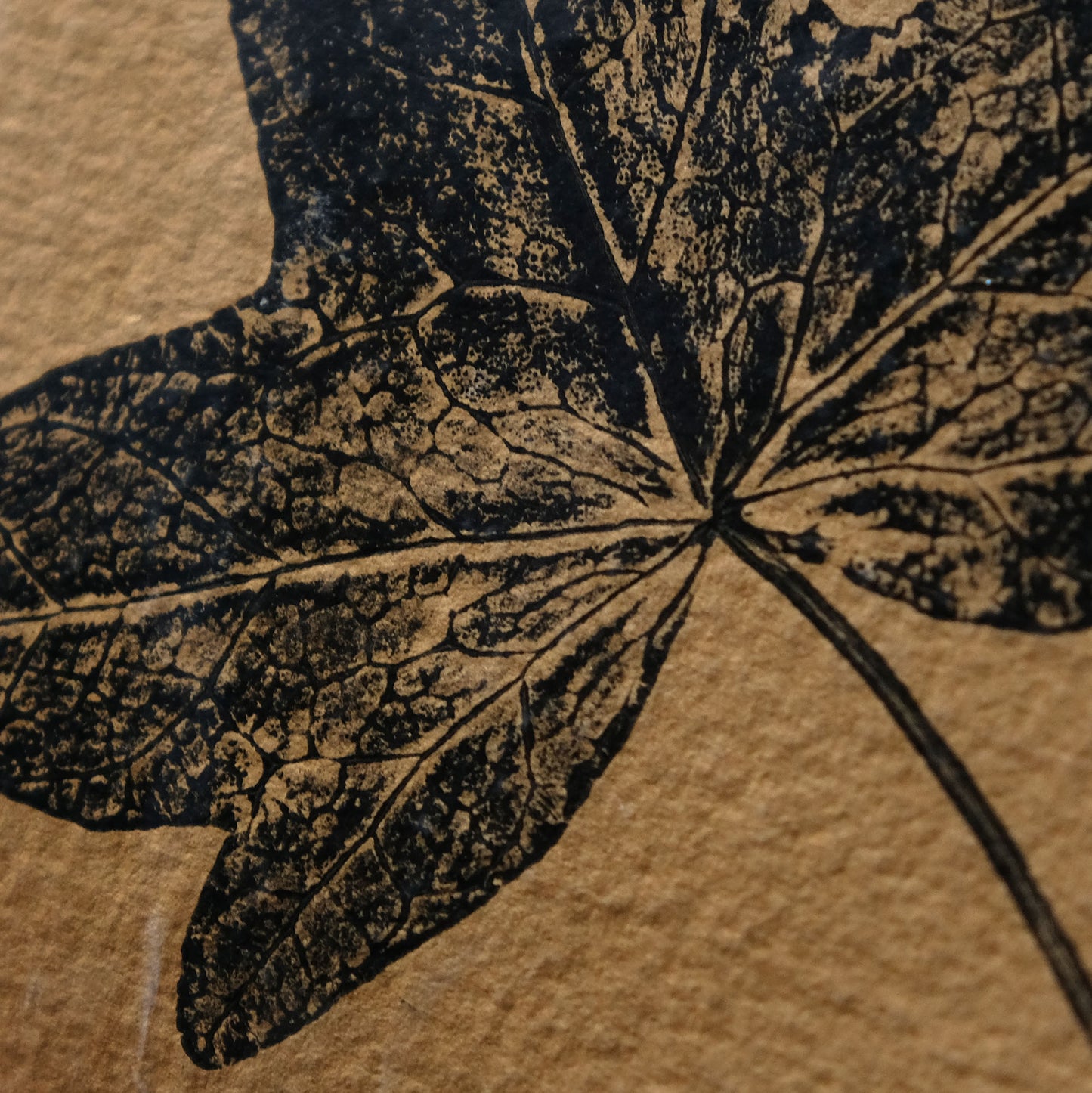 Ivy on Ochre - Botanical Monoprint