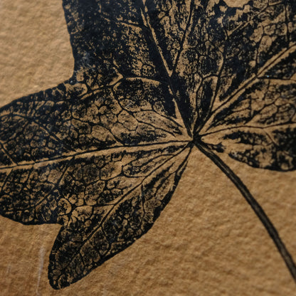 Ivy on Ochre - Botanical Monoprint