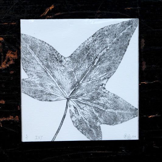 Ivy on White - Botanical Monoprint