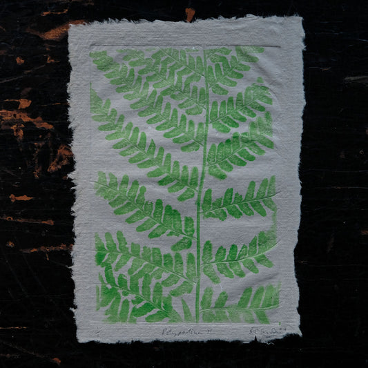 Polypodium Fern - Botanical Monoprint