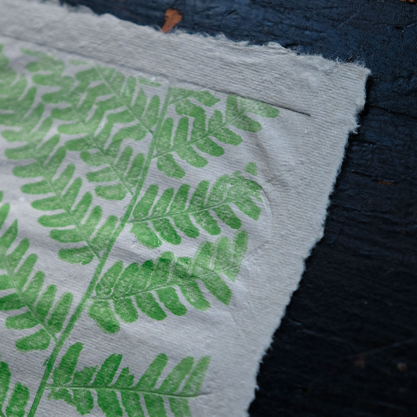 Polypodium Fern - Botanical Monoprint