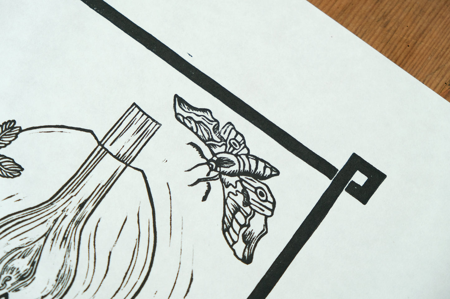 Drawn To The Flames - Lino Print
