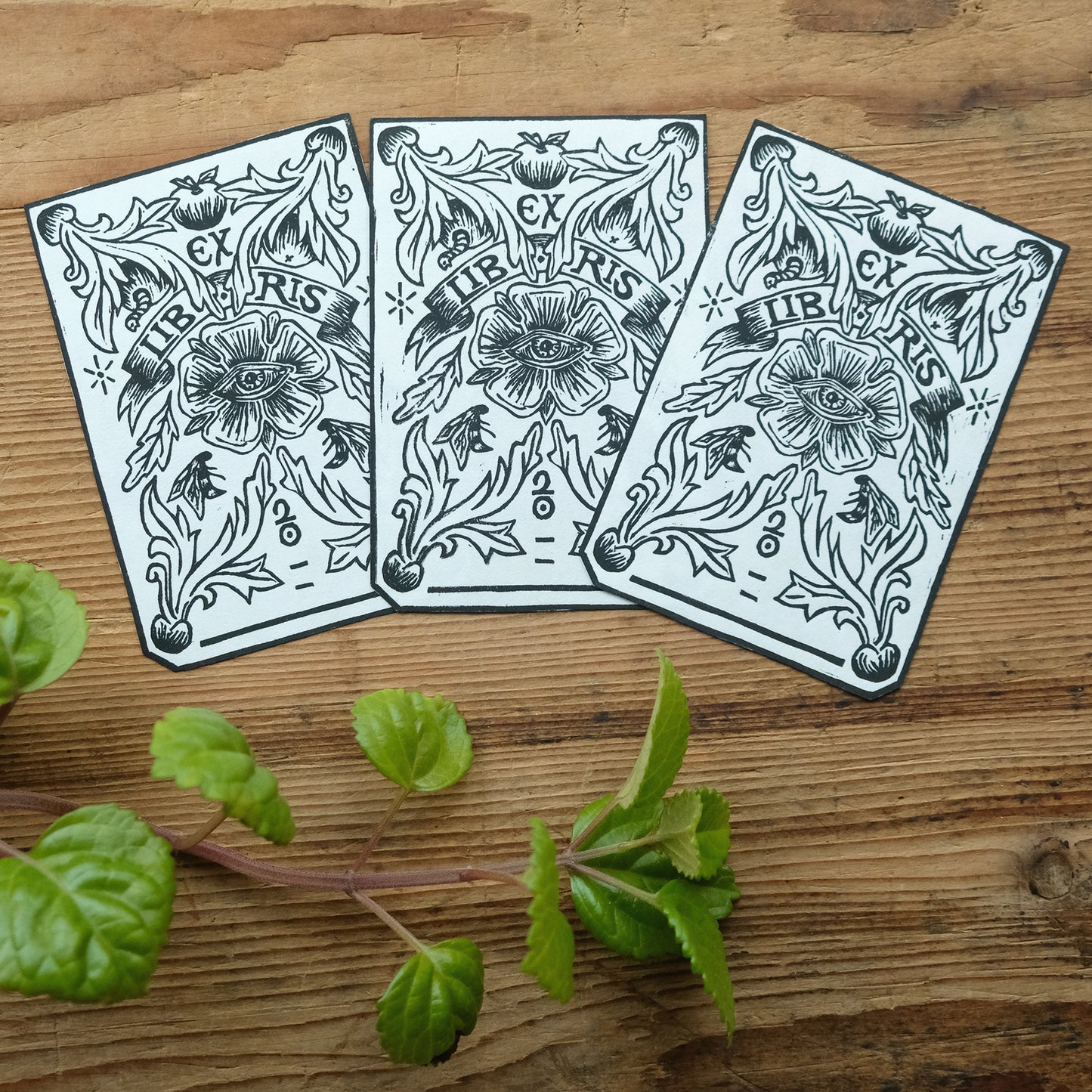 Rose of Providence - Lino Printed Ex Libris Bookplate
